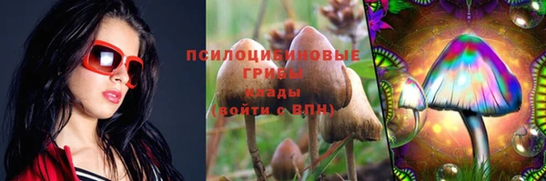 ГАЛЛЮЦИНОГЕННЫЕ ГРИБЫ Белокуриха
