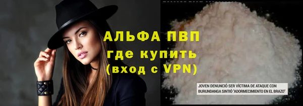 ГАЛЛЮЦИНОГЕННЫЕ ГРИБЫ Белокуриха
