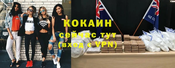 ГАЛЛЮЦИНОГЕННЫЕ ГРИБЫ Белокуриха