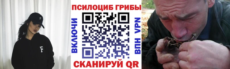 Псилоцибиновые грибы Cubensis  Можга 